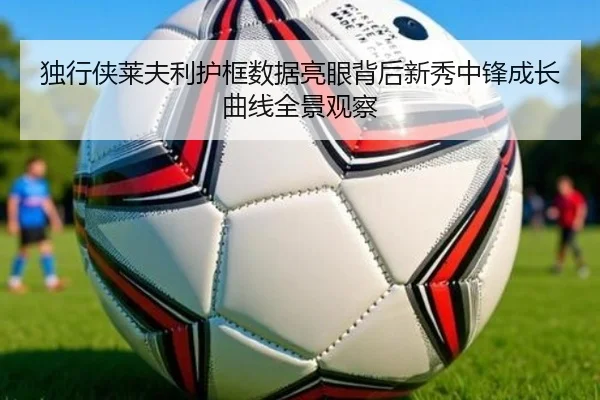 独行侠莱夫利护框数据亮眼背后新秀中锋成长曲线全景观察